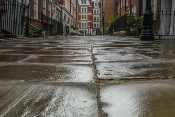 istock the road at evening after rain with reflection of lights 1152937703