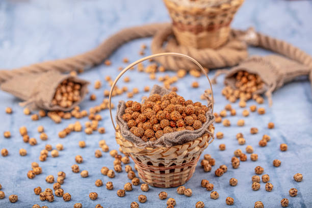 petisco roasted saudável e saboroso do grão de bico (leblebi) com especiarias diferentes. . sementes de gergelim, mel e açúcar revestido de grão de bico assado. - honey roasted nut - fotografias e filmes do acervo