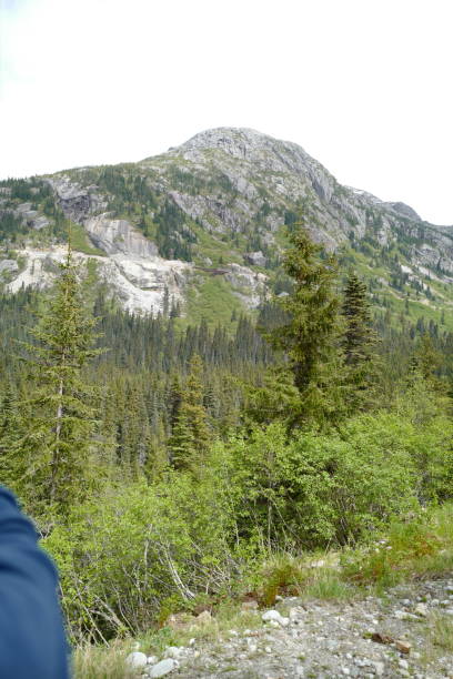 istock Canadian Rockies 1152939229