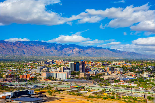istock Springtime wildflowers with Tucson skyline. AZ 1152943631