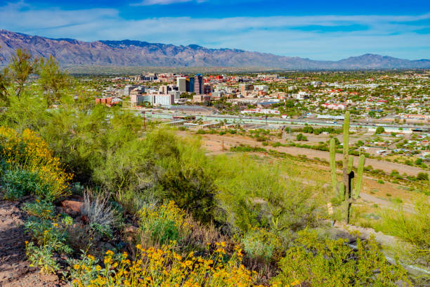 istock Springtime wildflowers with Tucson skyline. AZ (P) 1152943707