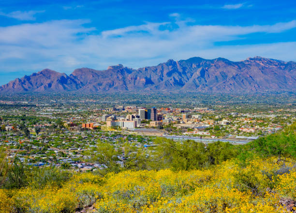 Springtime wildflowers with Tucson skyline. AZ vacation get away; recreational location; travel adventure; desert wonderland tucson stock pictures, royalty-free photos & images