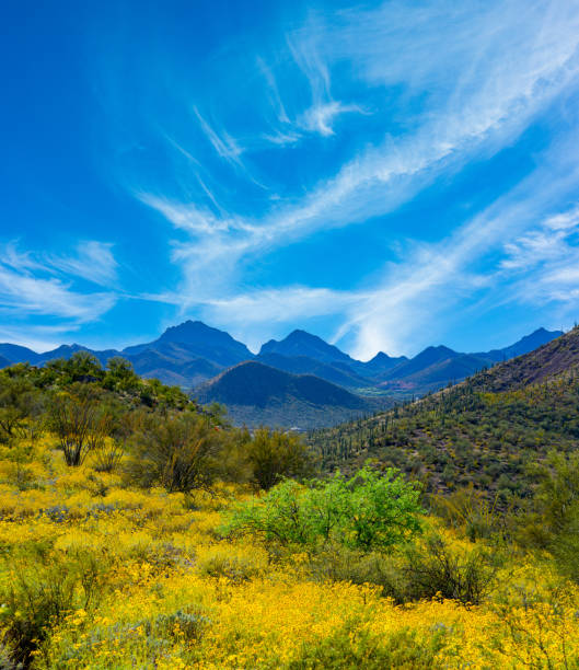 vacation get away; recreational location; travel adventure; desert wonderland