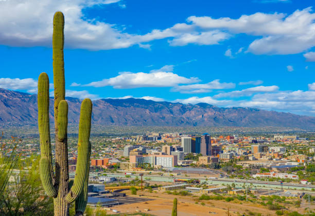 istock Springtime wildflowers with Tucson skyline. AZ 1152943867