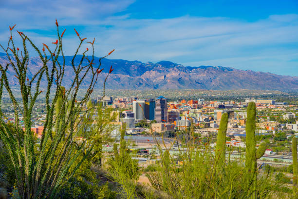 istock Springtime wildflowers with Tucson skyline. AZ 1152943884