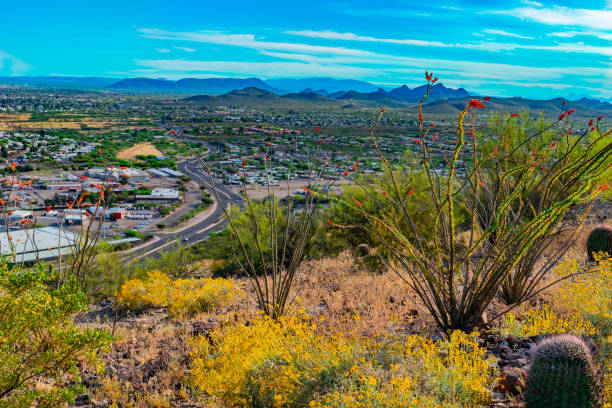 istock Springtime wildflowers with Tucson skyline. AZ (P) 1152943895