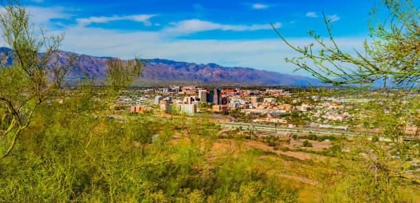 istock Springtime wildflowers with Tucson skyline. AZ (P) 1152943908
