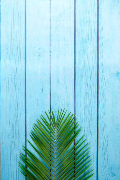istock Minimalistic flat lay composition with arge branch of tropical plant 1152951332