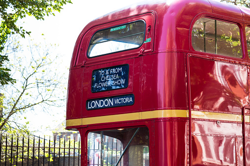 Close up color image depicting an iconic red double decker London bus escorting tourists and customers to the Chelsea Flower Show. The RHS Chelsea Flower Show, formally known as the Great Spring Show, is a garden show held for five days in May by the Royal Horticultural Society (RHS) in the grounds of the Royal Hospital Chelsea in Chelsea, London. On the street, people are about to board the bus. Room for copy space.