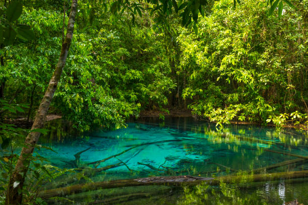 istock Emerald Pool (Sra Morakot) in Krabi province, Thailand. 1152975439