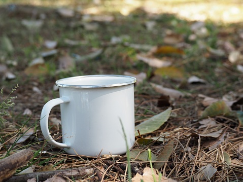 White enamel mug on ground covered with fallen leaves