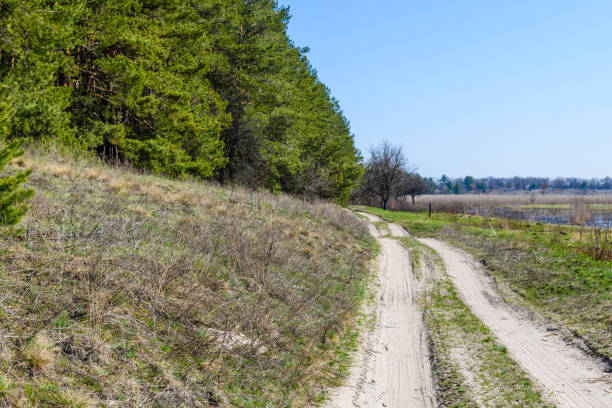 istock Dirt road near the forest on early spring 1152979897