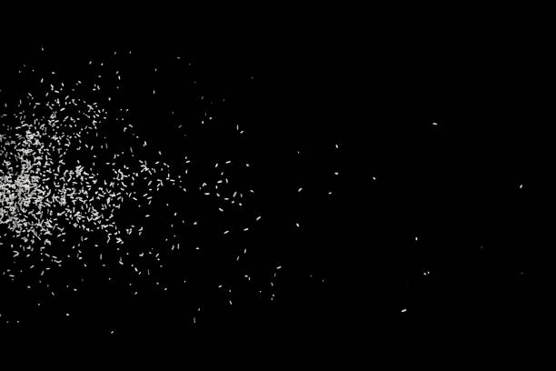 istock White falling particles round shape on black backround.Glowing blizzard. Scatter falling round particles. 1152980988