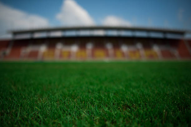 Stadium background with a green grass pitch in the daytime