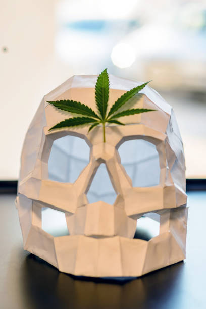 istock A green cannabis leaves on a white paper skull 1152993485