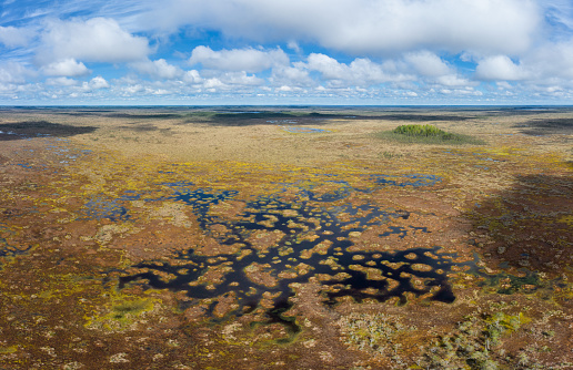 High vantage photo taken from a drone flying above the marshy water below. Teicu bog is the largest in Baltic States