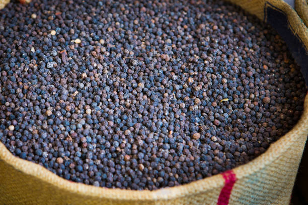basket filled with black pepper in the south of india