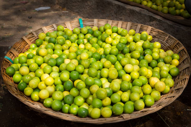 cesta llena de limón y limas en la india - madurai kerala india tamil nadu fotografías e imágenes de stock