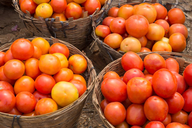 cestas llenas de tomates rojos en el mercado de alimentos en la india - madurai kerala india tamil nadu fotografías e imágenes de stock