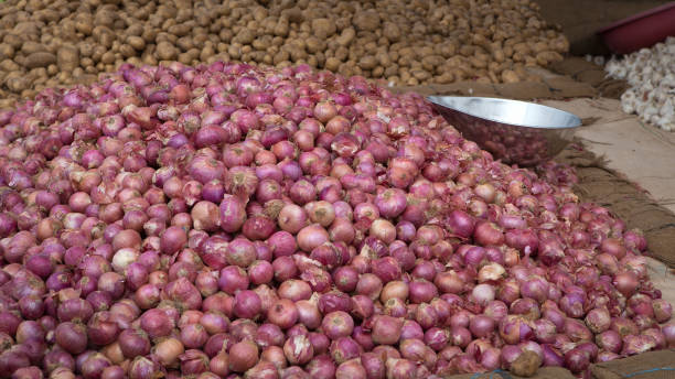 pila de cebollas rojas y patatas en un mercado de verduras en la india - madurai kerala india tamil nadu fotografías e imágenes de stock