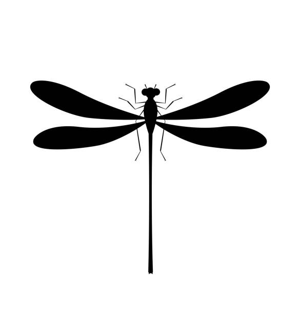 Dragonfly silhouette icon. Isolated symbol of insect Dragonfly silhouette icon. Isolated symbol of insect. Vector butterfly tattoo stencil stock illustrations
