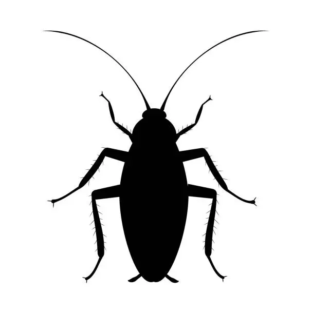 Vector illustration of Cockroach Silhouette. Symbol of pets insect control service. Bug spray and insecticide icon