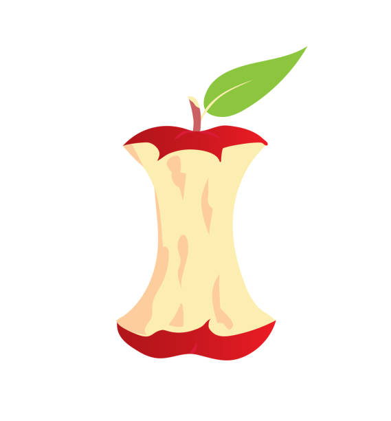 애플 코어 아이콘입니다. 유기 폐기물의 상징. 격리 - apple core stock illustrations
