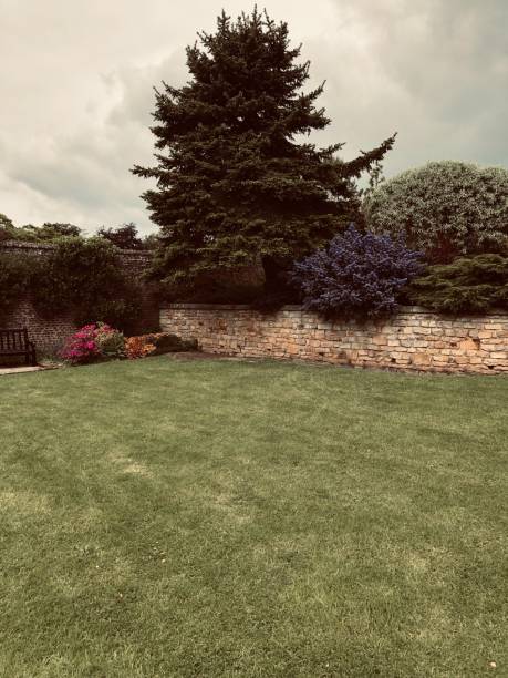 istock Parkland with red deer and gardens 1153007308