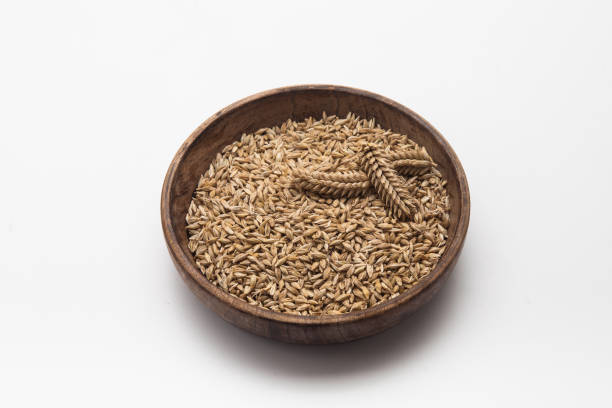 istock Barley grains with wheat ear on plate isolated 1153007318