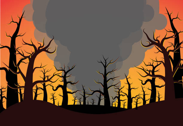 leśne zdjęcie wektorowe pożaru - wildfire smoke stock illustrations