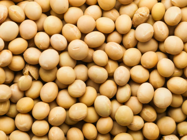 istock Background view of dried soy beans 1153012741