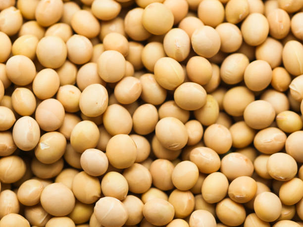 istock Background view of dried soy beans 1153012901