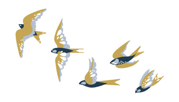 A flock of flying birds swallows. Vector illustration. A flock of flying birds swallows. Vector illustration. swallow bird illustrations stock illustrations