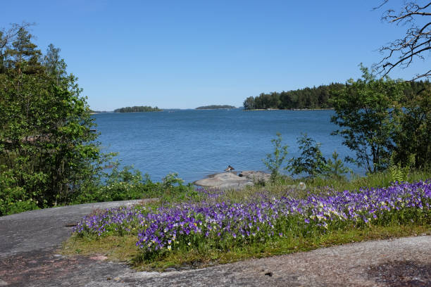 istock Beautiful nature landscape 1153016206