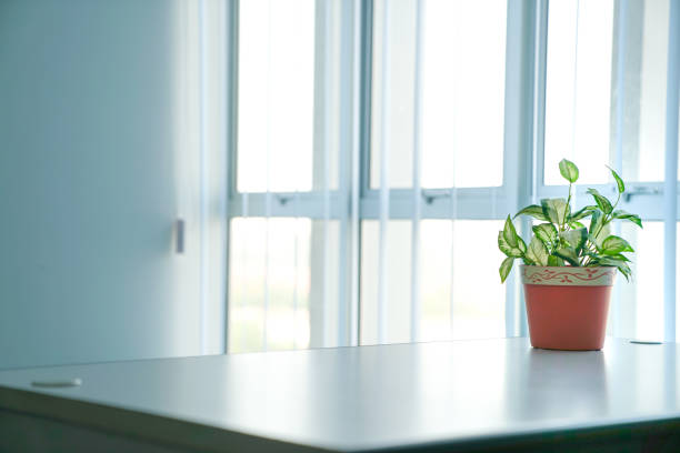 istock View of an office room 1153019013