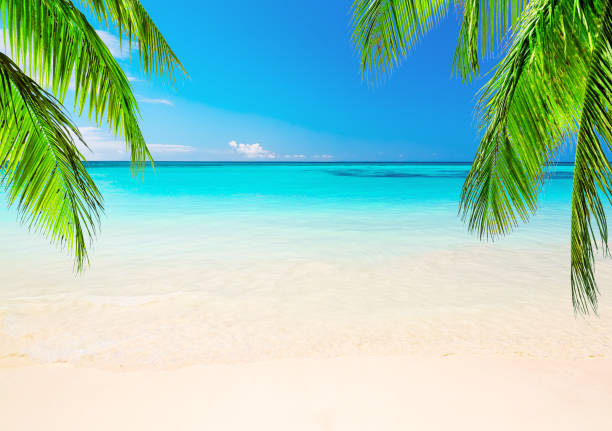 istock Wave of the sea on the sand beach 1153020737