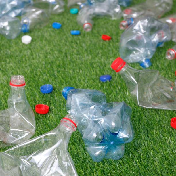 istock The concept of recycling plastic and environmental protection. Pet preforms for plastic bottles on the green grass. Artificial turf. 1153025116