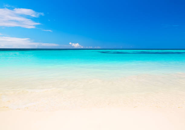 istock Wave of the sea on the sand beach 1153033064