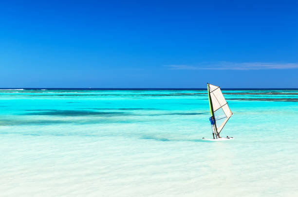 Windsurfer in the sea with a blue sky background.