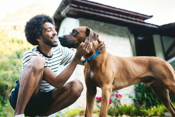 istock Young man playing with her dog outdoors in the backyard 1153035744