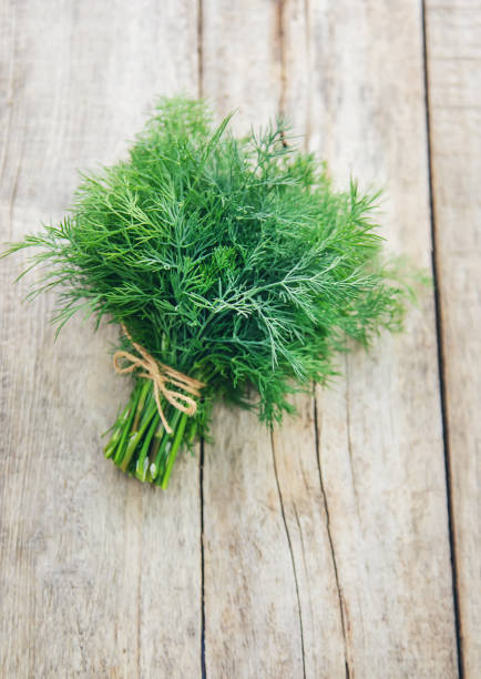 istock Fresh homemade greens from the garden. Selective focus. 1153035953