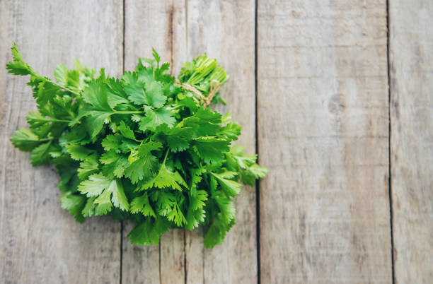 Fresh homemade greens from the garden. Selective focus. nature.