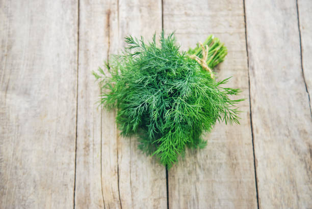 istock Fresh homemade greens from the garden. Selective focus. 1153035971