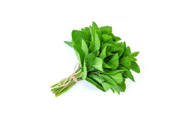 istock Fresh homemade greens from the garden. Isolate Selective focus. 1153035979