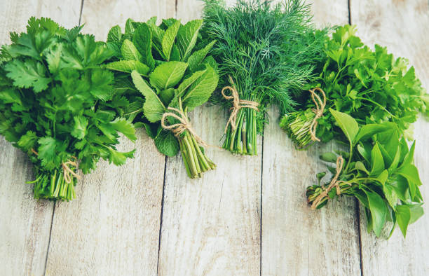 istock Fresh homemade greens from the garden. Selective focus. 1153035987