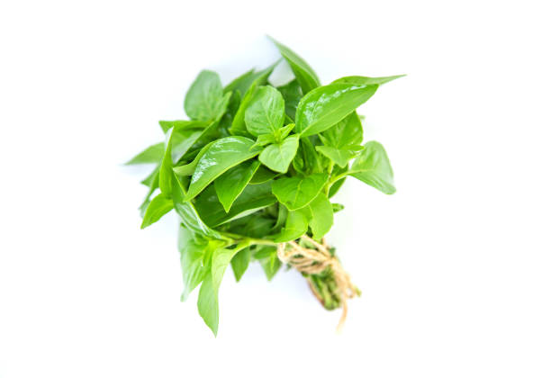 istock Fresh homemade greens from the garden. Isolate Selective focus. 1153036008