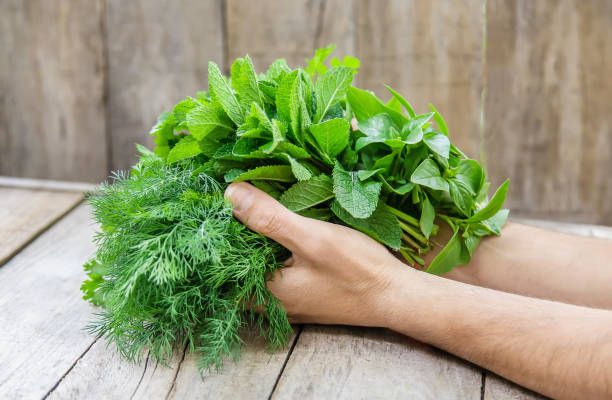 istock Fresh homemade greens from the garden. Selective focus. 1153036036