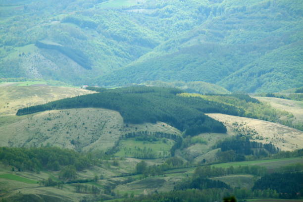 istock Landscape on Divcibare, Mountain Maljen, Serbia 1153038180