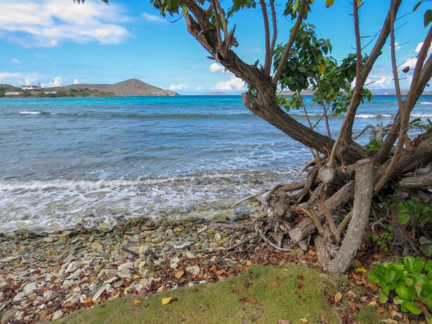 istock View from Sapphire Beach, St. Thomas, U.S. Virgin Islands 1153038233