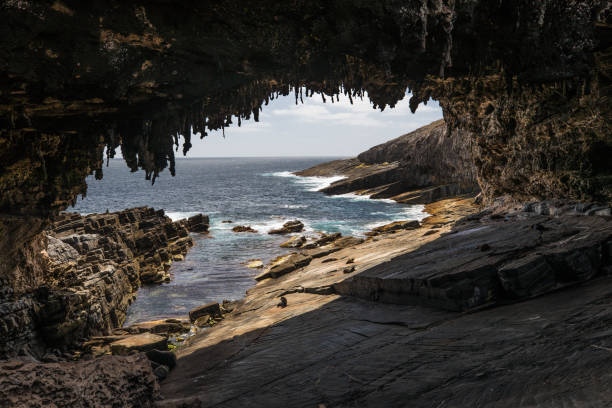 istock Admirals Arch, Kangaroo Island, South Australia 1153039648